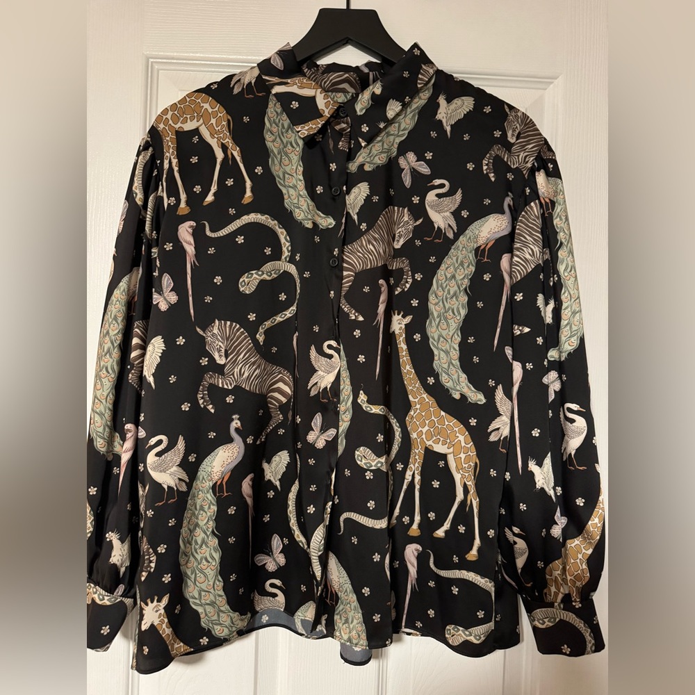 Zara shirt. Perfect for work!
